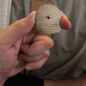 Disney Exclusive Silver Pin